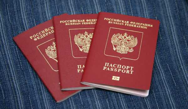 Чем биометрический паспорт отличается от обычного