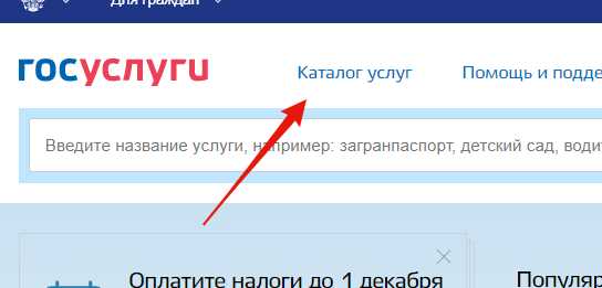 Через госуслуги получить свидетельство о рождении ребенка