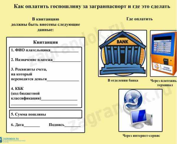 Где оплатить госпошлину за загранпаспорт нового образца