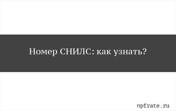 Где узнать снилс по паспорту