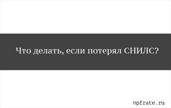 Как и где восстановить снилс