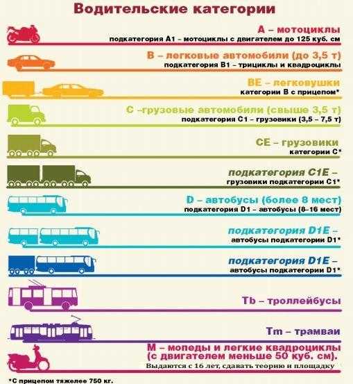 Каких врачей проходить на водительские права в 2020 году