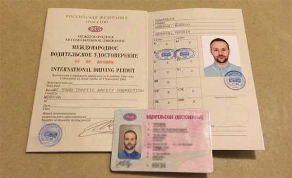Международное водительское удостоверение как выглядит