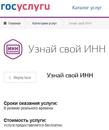 Инн в госуслугах. ИНН С госуслуг. ИНН через госуслуги. Как получить ИНН через госуслуги. Как заказать ИНН через госуслуги.