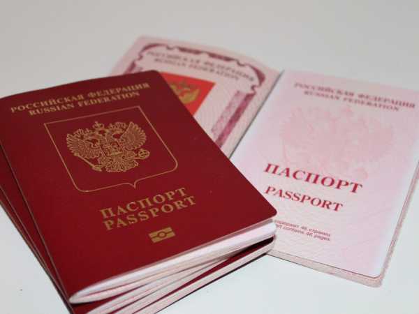 Проверка биометрического паспорта