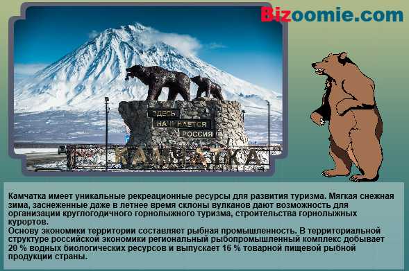 Петропавловск камчатский проект. Проект Камчатка. Петропавловск-Камчатский доклад. Проект город Петропавловск Камчатский. Камчатка презентация.