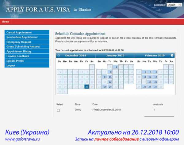 Срок оформления визы в сша