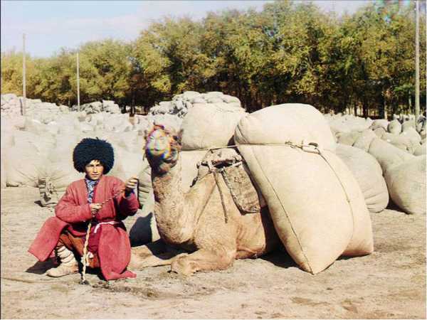 Уровень жизни в туркменистане