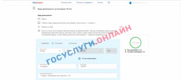 Как заполнить трудовую деятельность в заявлении на загранпаспорт нового образца в госуслугах образец